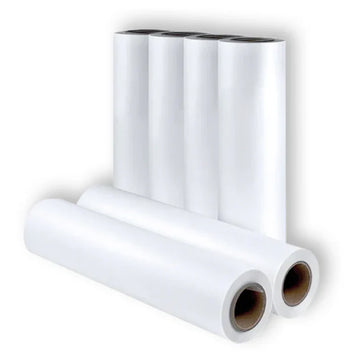 DTF Film Explained: Choosing the Right Film for Your Business Needs